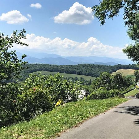 Les Gites De La Maison Bleue D'Estialescq エクステリア 写真