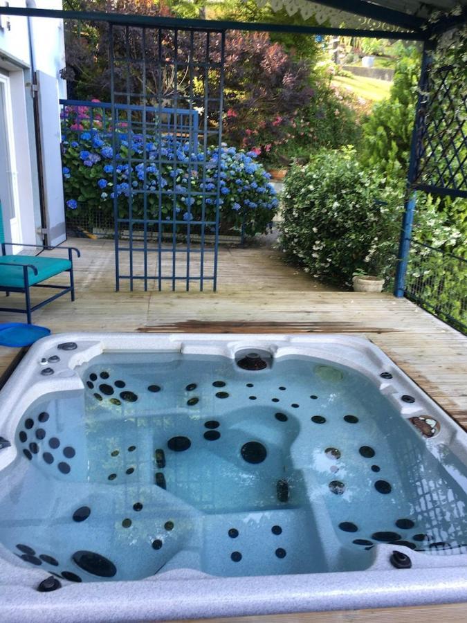Les Gites De La Maison Bleue D'Estialescq エクステリア 写真
