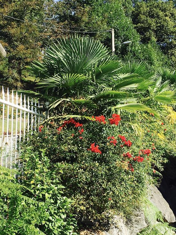 Les Gites De La Maison Bleue D'Estialescq エクステリア 写真