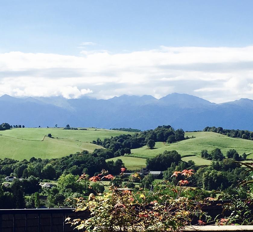 Les Gites De La Maison Bleue D'Estialescq エクステリア 写真