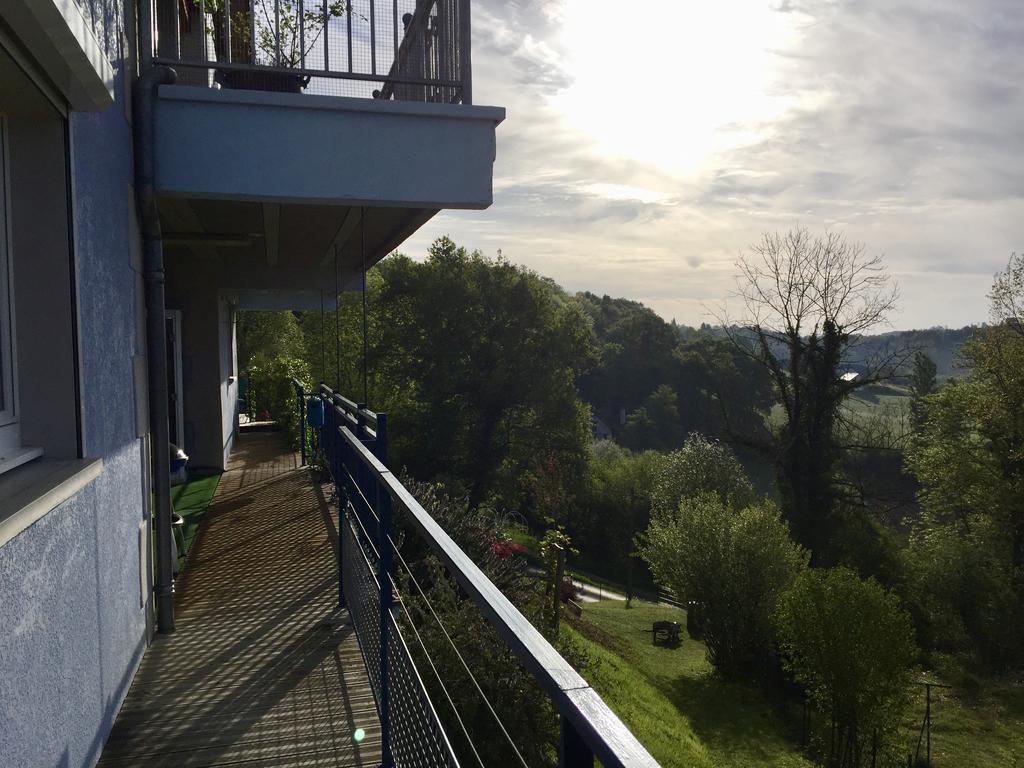 Les Gites De La Maison Bleue D'Estialescq エクステリア 写真