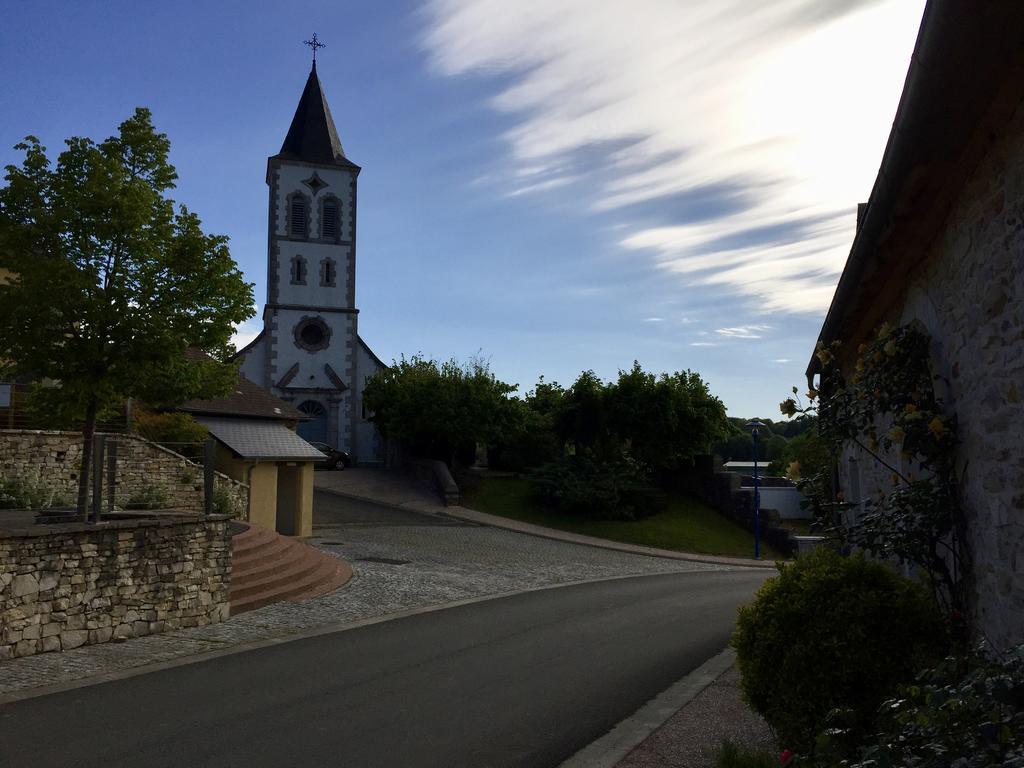 Les Gites De La Maison Bleue D'Estialescq エクステリア 写真