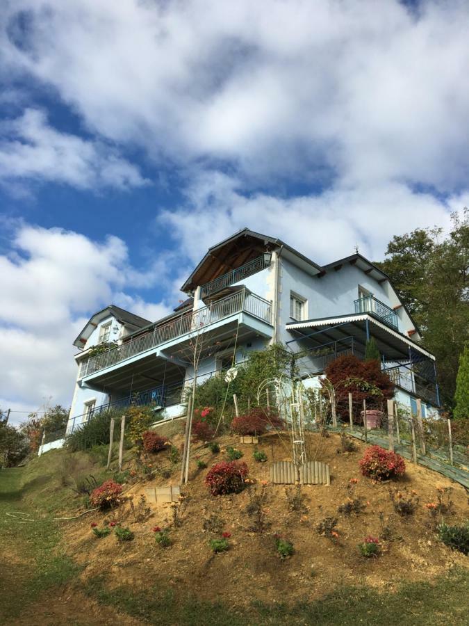 Les Gites De La Maison Bleue D'Estialescq エクステリア 写真
